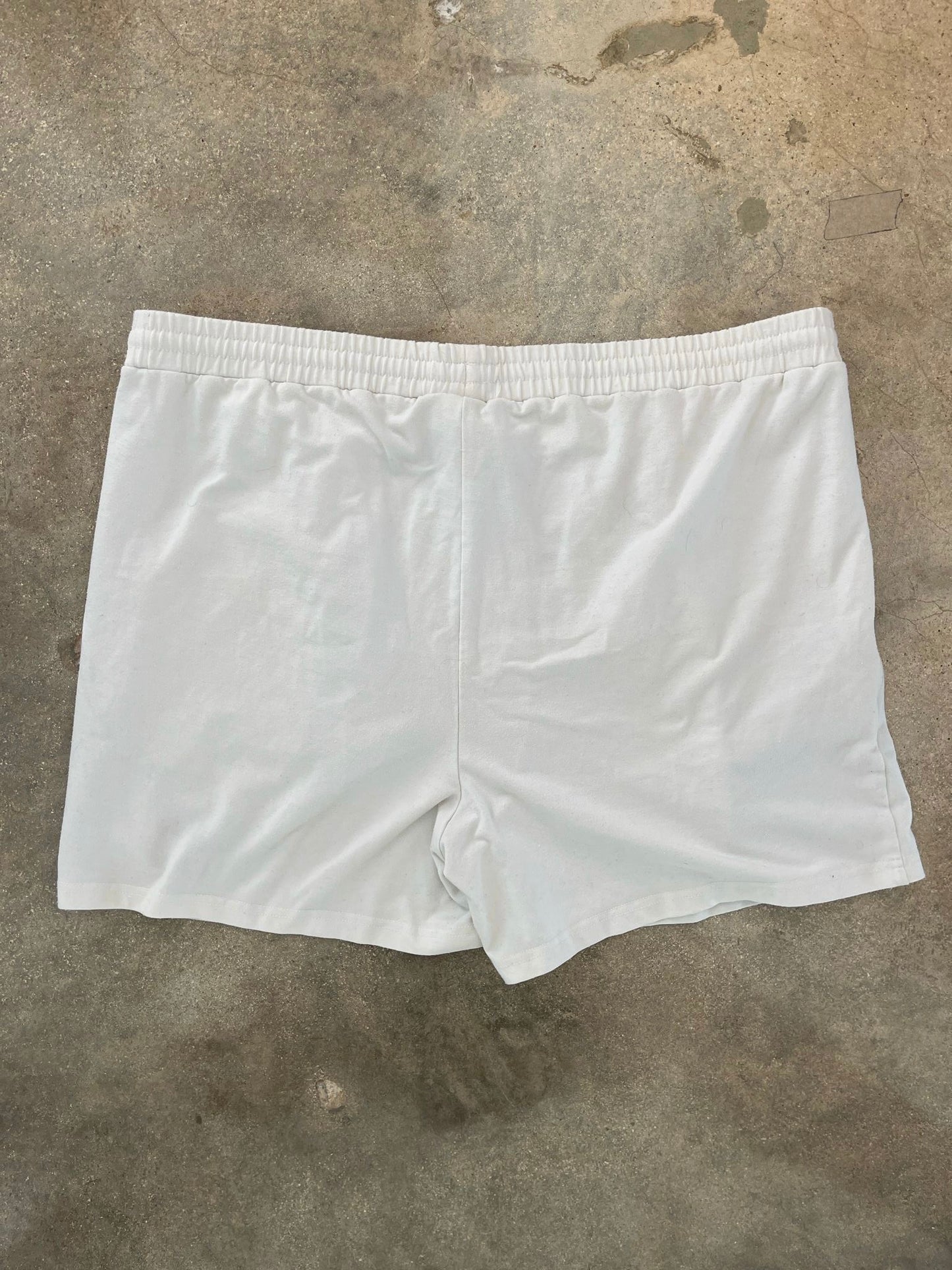 Vintage Nike Agassi Tennis Shorts (circa 1990s)
