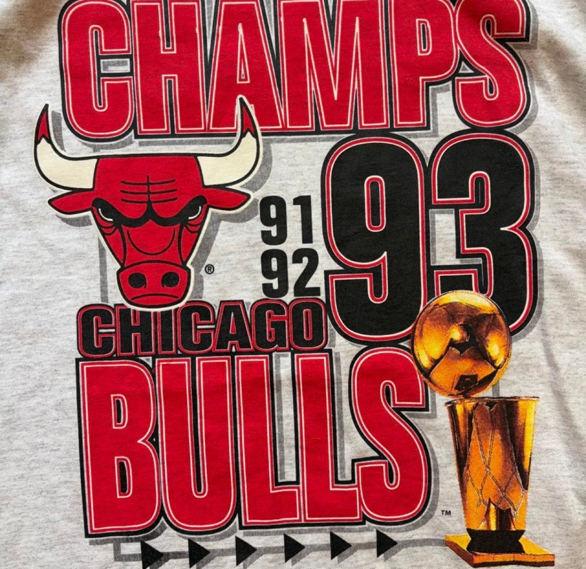 Vintage 1993 Chicago Bulls Championship T-Shirt (dead-stock)
